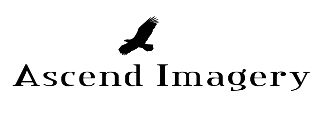 Ascend-Logo-Black copy